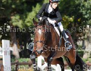 Tombolillo Camelia Baia GioCav2013 S6 7389 : Camelia Baia, Campionati Italiani Giovani Cavalli, Cattolica, Tombolillo Lorenzo, ph Stefano Secchi ©